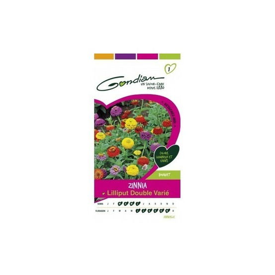 Zinnia lilliput double varié