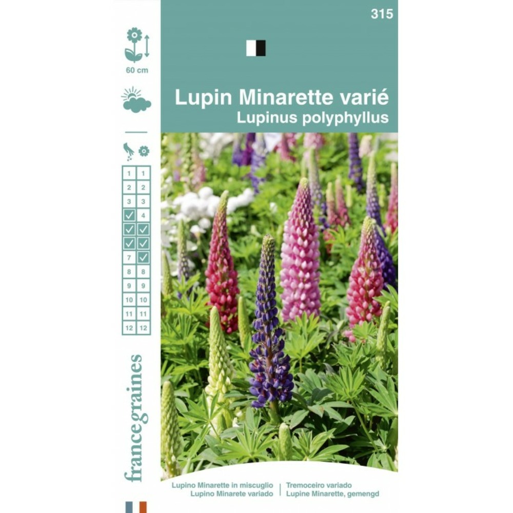 France graines - lupin minarette varié