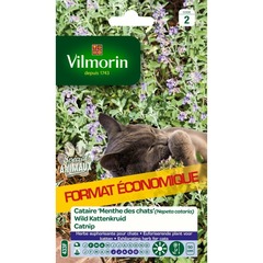 Vilmorin - cataire menthe chats gm vl 2