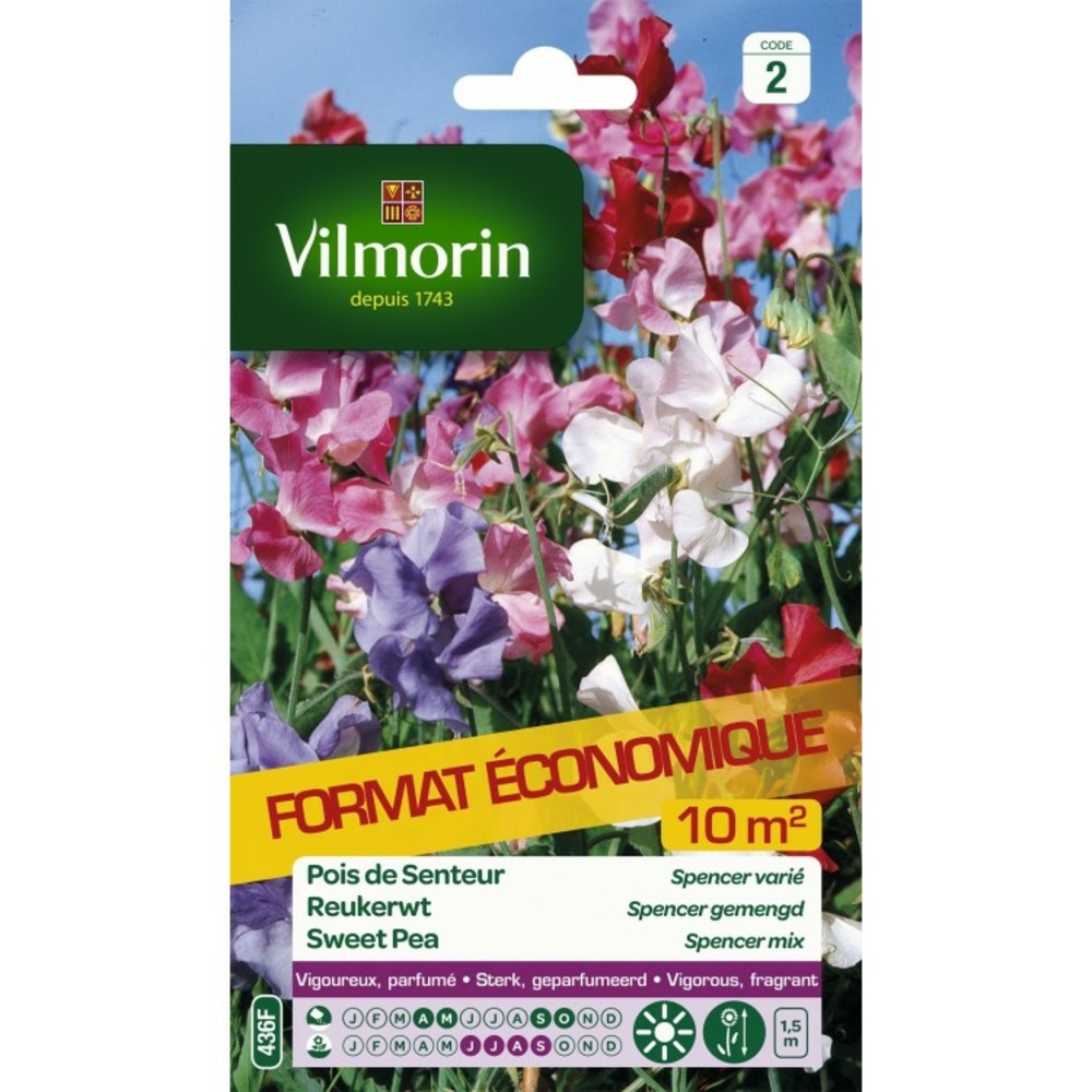 Pois de senteur spencer varié format éco