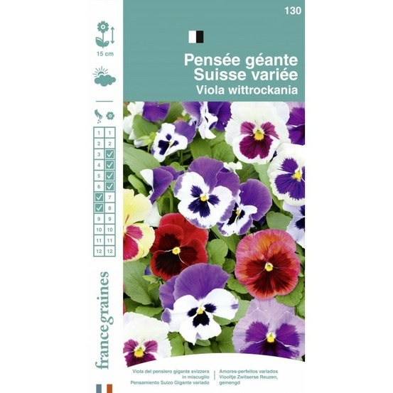 France graines - pensée géante suisse variée