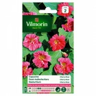 Vilmorin - capucine n, cherry rose