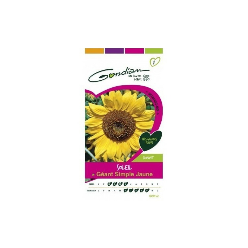 Soleil géant simple