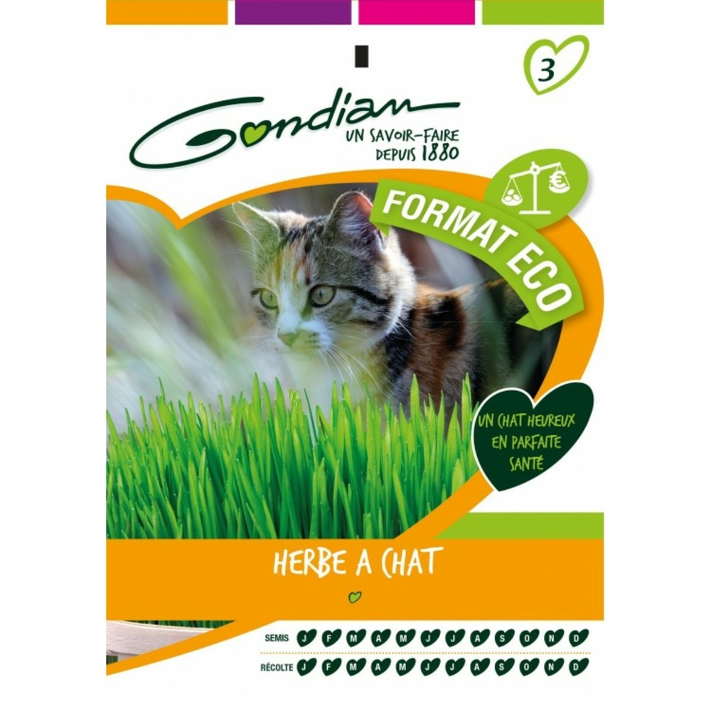 Quelles graines semer pour obtenir de l'herbe à chat ?