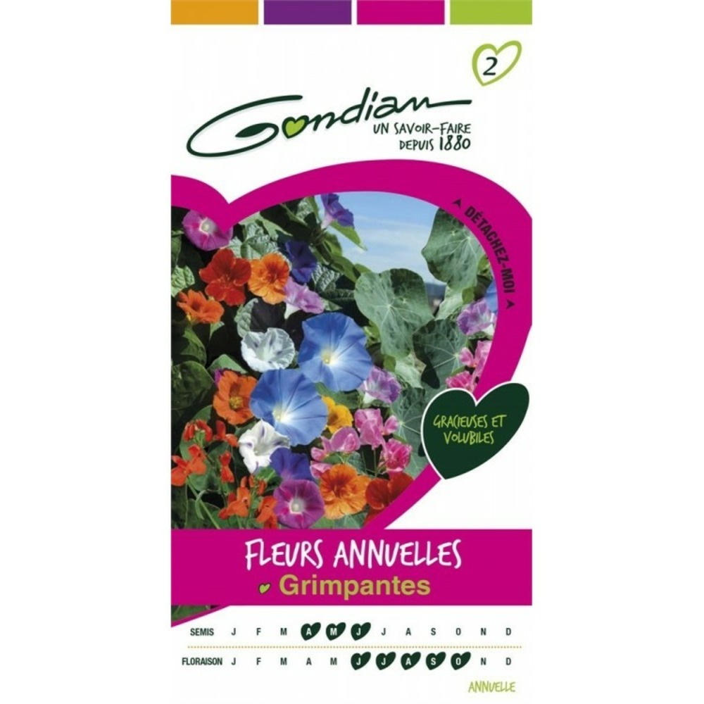 Fleurs annuelles grimpantes