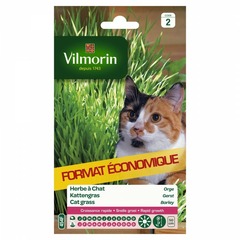 Vilmorin - Herbe à Chat Orge Vert