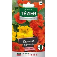 Tezier - capucine naine double joyau -- fleurs annuelles