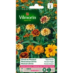 Vilmorin - zinnia du mexique - tapis persan