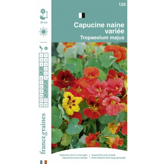 France graines - capucine naine mix