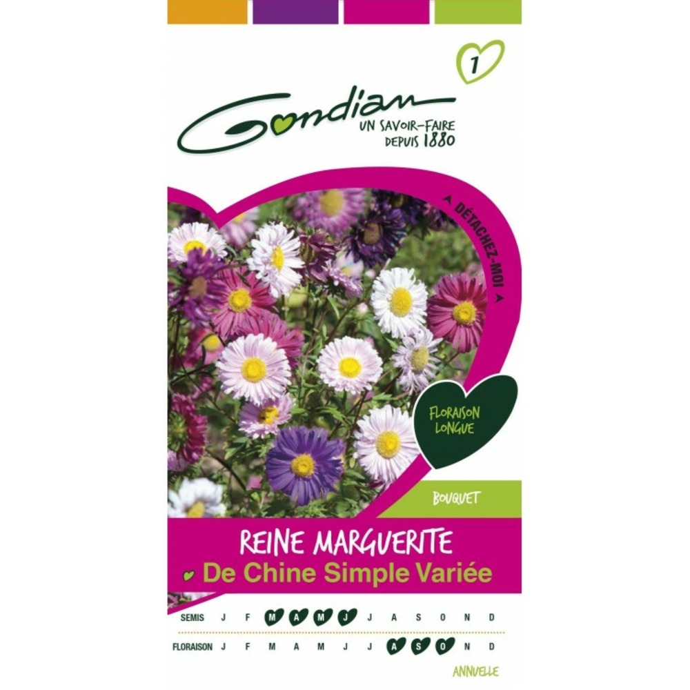 Reine marguerite simple variée