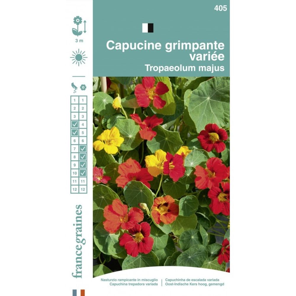Graines Capucine Grimpante Variée - Sachet 5g Très Florifère Et Mellifère | Pour Jardiniers Débutants