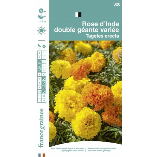 France graines - rose d'inde double grande mix