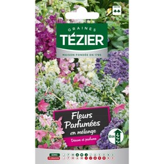Tezier - fleurs parfumées en mélange -- fleurs annuelles