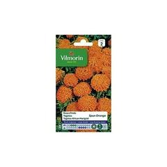 Vilmorin - Rose d'Inde Spun Orange