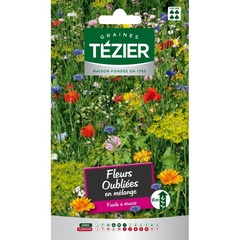 Tezier - mélange de fleurs oubliées -- fleurs annuelles