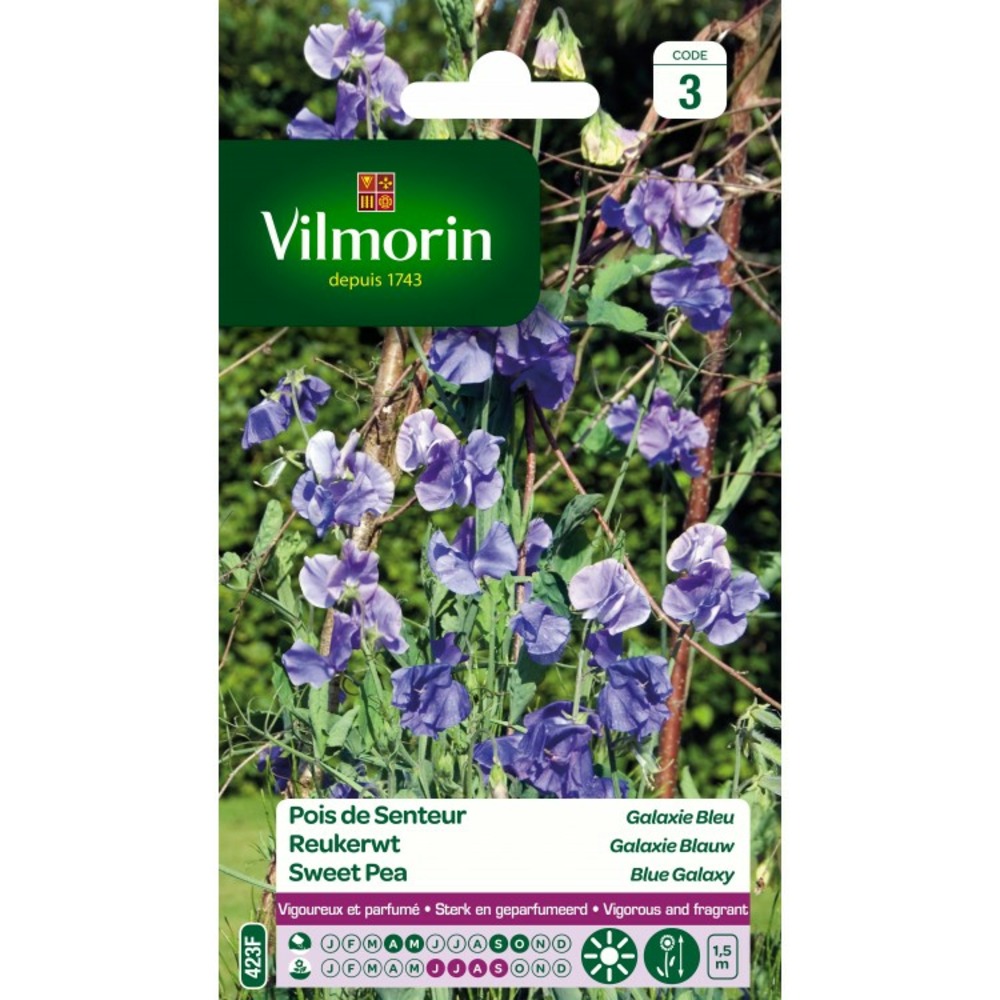 Pois de senteur galaxie bleu