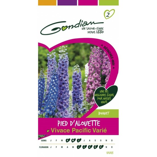 Delphinium vivace mix