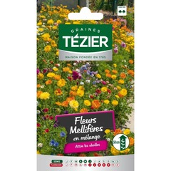 Tezier - fleurs mellifères en mélange -- fleurs annuelles