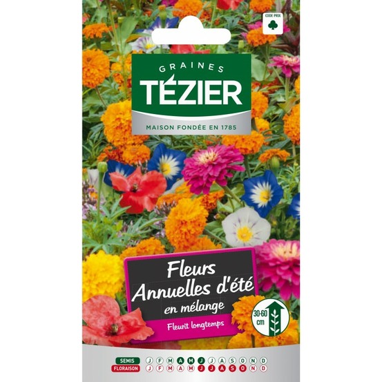 Fleurs annuelles d'été en mélange