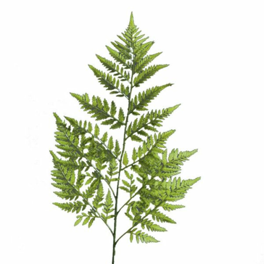 Feuille branche de fougère artificielle des forêts h 78 cm superbe