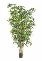 Bambou artificiel h 240 cm 1221 grandes feuilles en pot - dimhaut: h 240 cm - co
