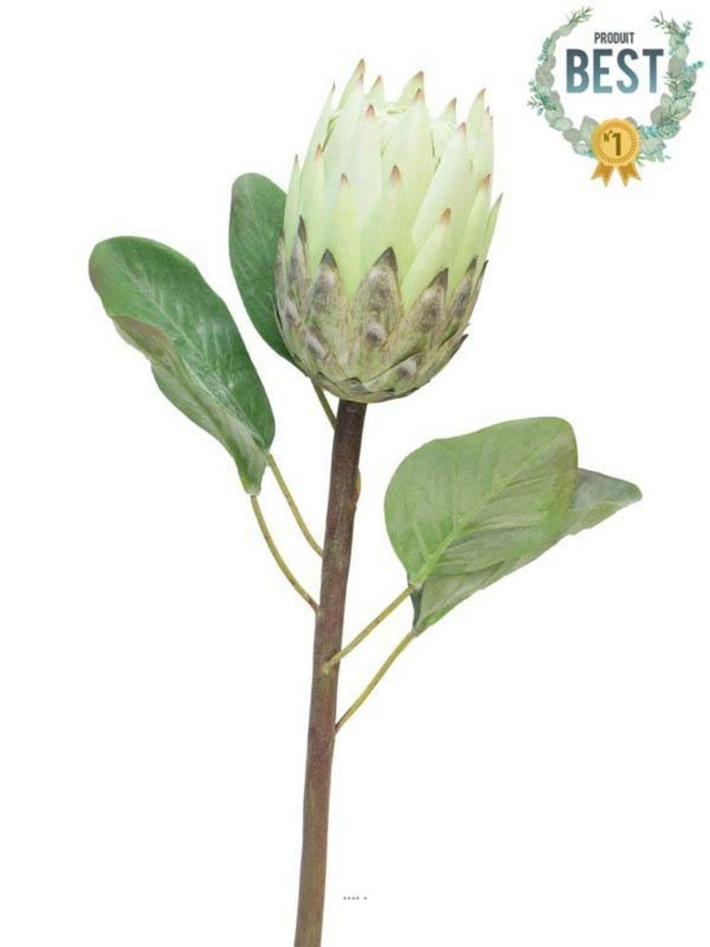 Protea, fleur des lacs, artificielle en tige, h 67 cm crème - best - couleur: cr