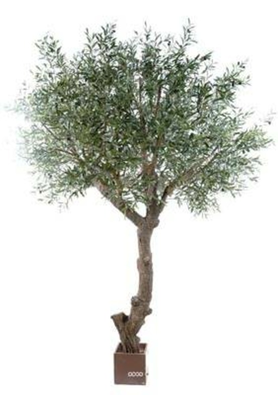 Olivier artificiel h270 cm l210 cm avec olives tronc artificiel en pot