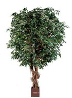Ficus benjamina geant artificiel h 650 cm l 280 cm 29184 feuilles en pot - dimha