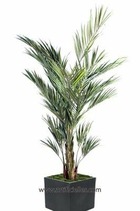 Palmier kentia artificiel en pot superbe de réalisme h 150 cm vert - dimhaut: h