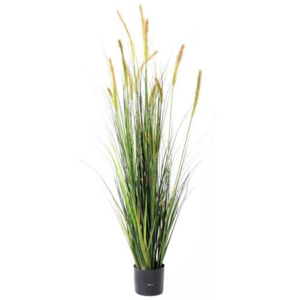Graminée en pot factice plante eau, quenouille h150cm d50cm vert-jaune - dimhaut