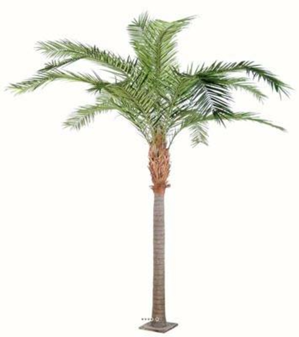 Palmier phoenix factice plaque finition luxe belle tête h380cm vert - dimhaut: h