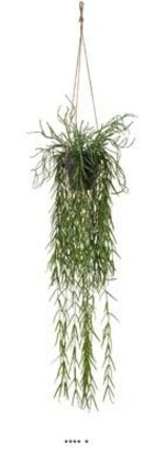 Cactus rhipsalis artificiel en pot suspendu l 95 cm, d 37 cm - dimhaut: h 95 cm