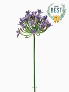 Agapanthe factice en tige h75cm grande tête d 14 cm mauve violet -best - couleur