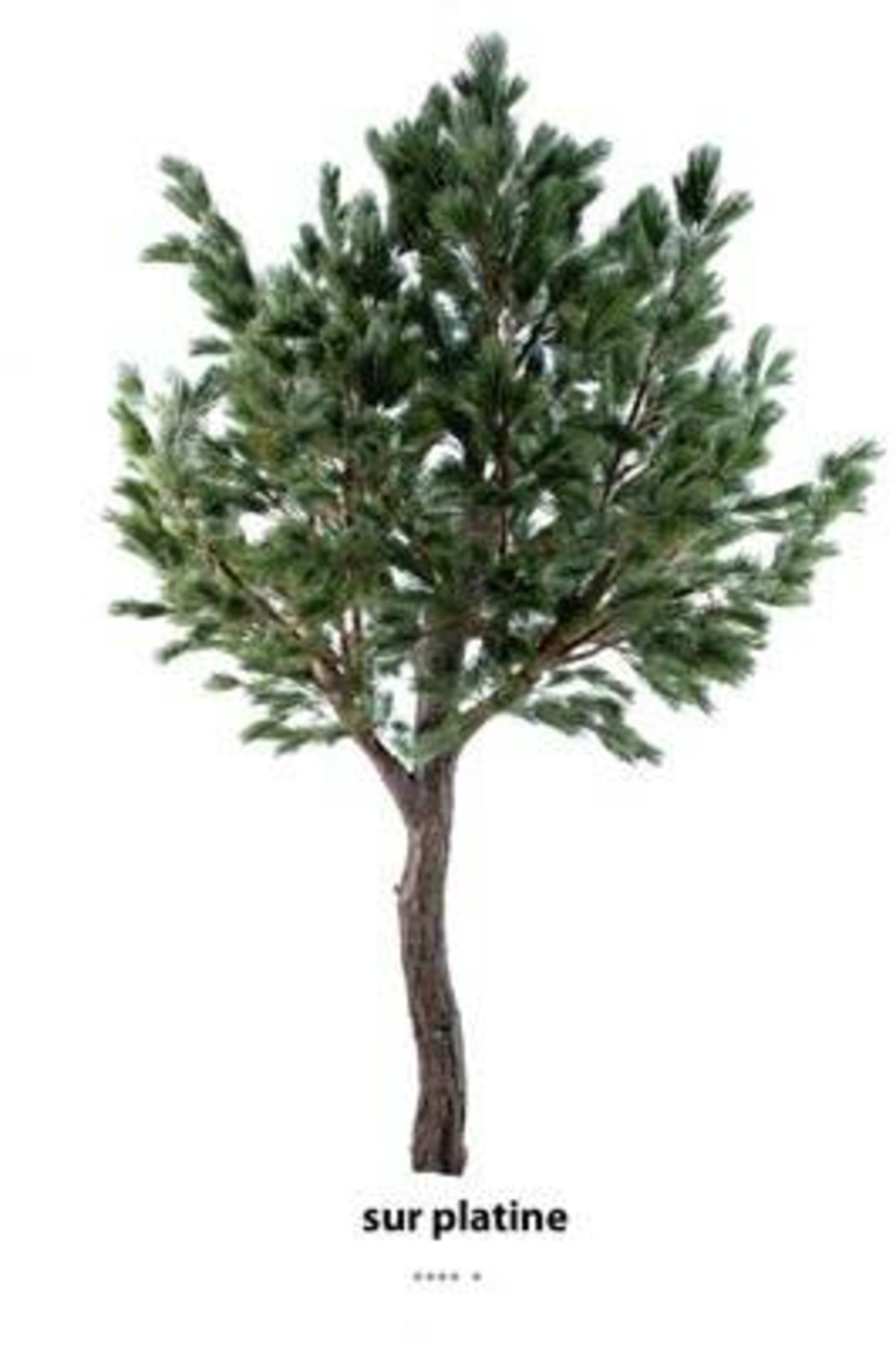 Pin géant faux h340cm tronc fibre verre bois feuille pe l230cm platine - dimhaut