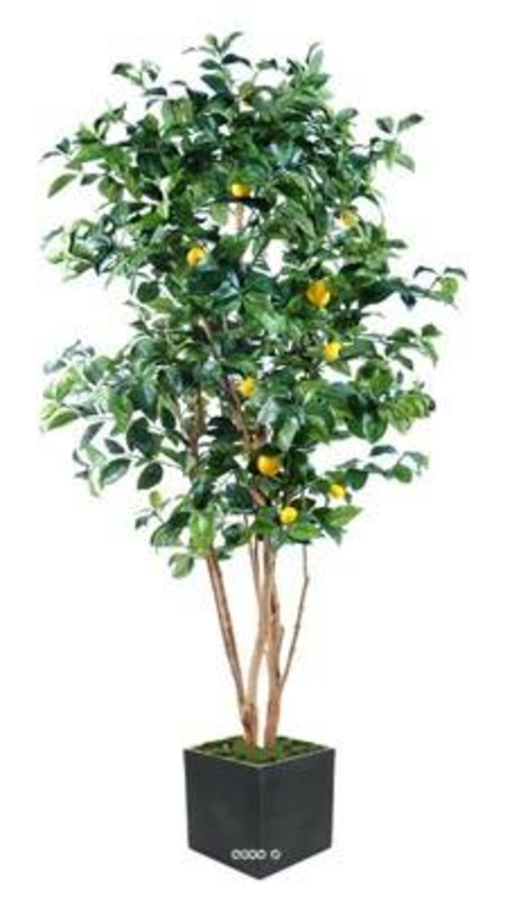 Citronnier factice tronc naturel en pot et fruits h180cm jaune citron - dimhaut: