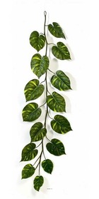 Guirlande de feuilles de pothos h 230 cm largeur 70 cm