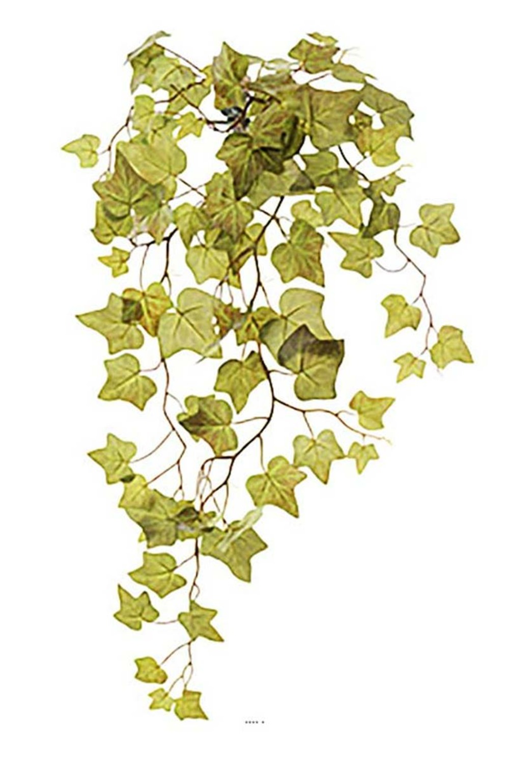 Chute de lierre artificiel l 84cm 88 feuilles vert-rouge