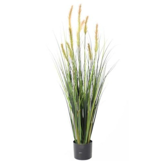 Graminée en pot factice plante eau, quenouille h120cm d40cm vert-jaune - dimhaut