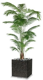 Palmier areca artificiel h 270 cm sur tronc en pot - dimhaut: h 270 cm - couleur