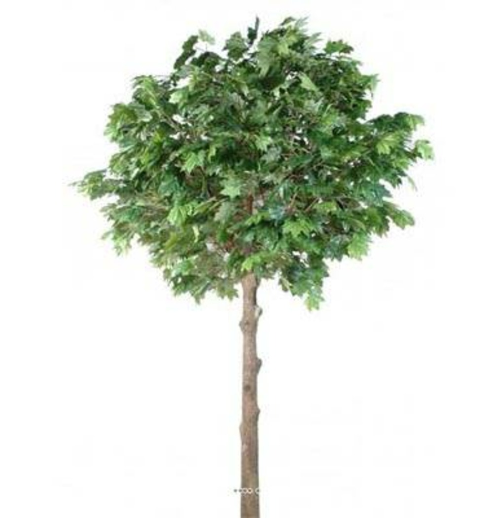 Platane arbre factice h300cm l190cm tronc bois & fibre verre platine - dimhaut: