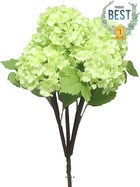 Bouquet de fleurs de viorne artificielles, 5 têtes, h30 cm vert - best - couleur