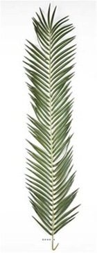 Feuille de palmier phoenix artificielle en tissu 126 cm