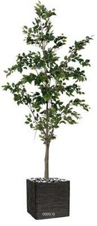 Ficus benjamina artificiel tronc pe en pot superbe h 240 cm d 115 cm vert - dimh