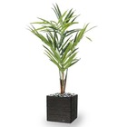 Palmier kentia artificiel en pot tronc semi-naturel h 170 cm 7 palmes - dimhaut: