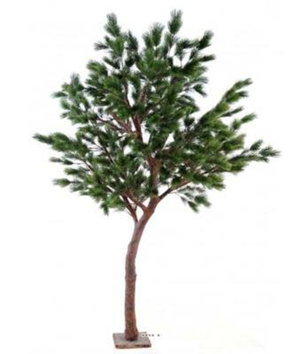 Pin géant faux h260cm tronc fibre verre bois feuille pe l150cm platine - dimhaut