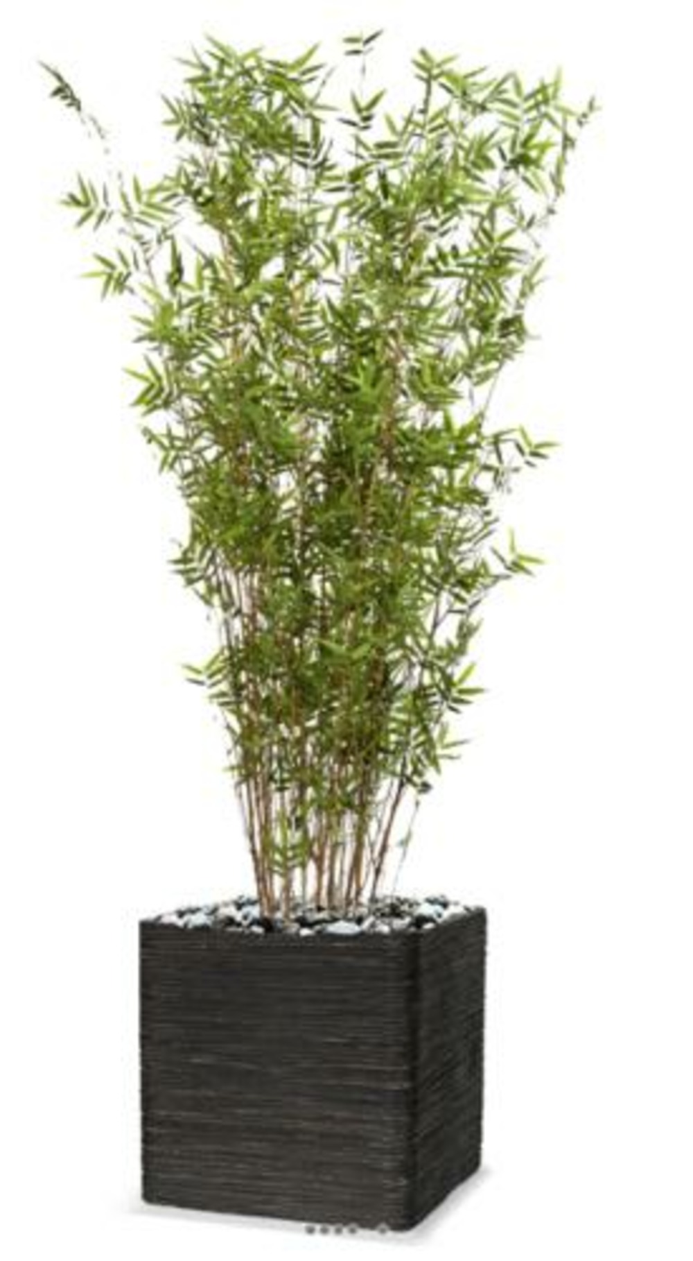 Bambou oriental artificiel h 130 cm 1560 feuilles cannes fines en pot - dimhaut: