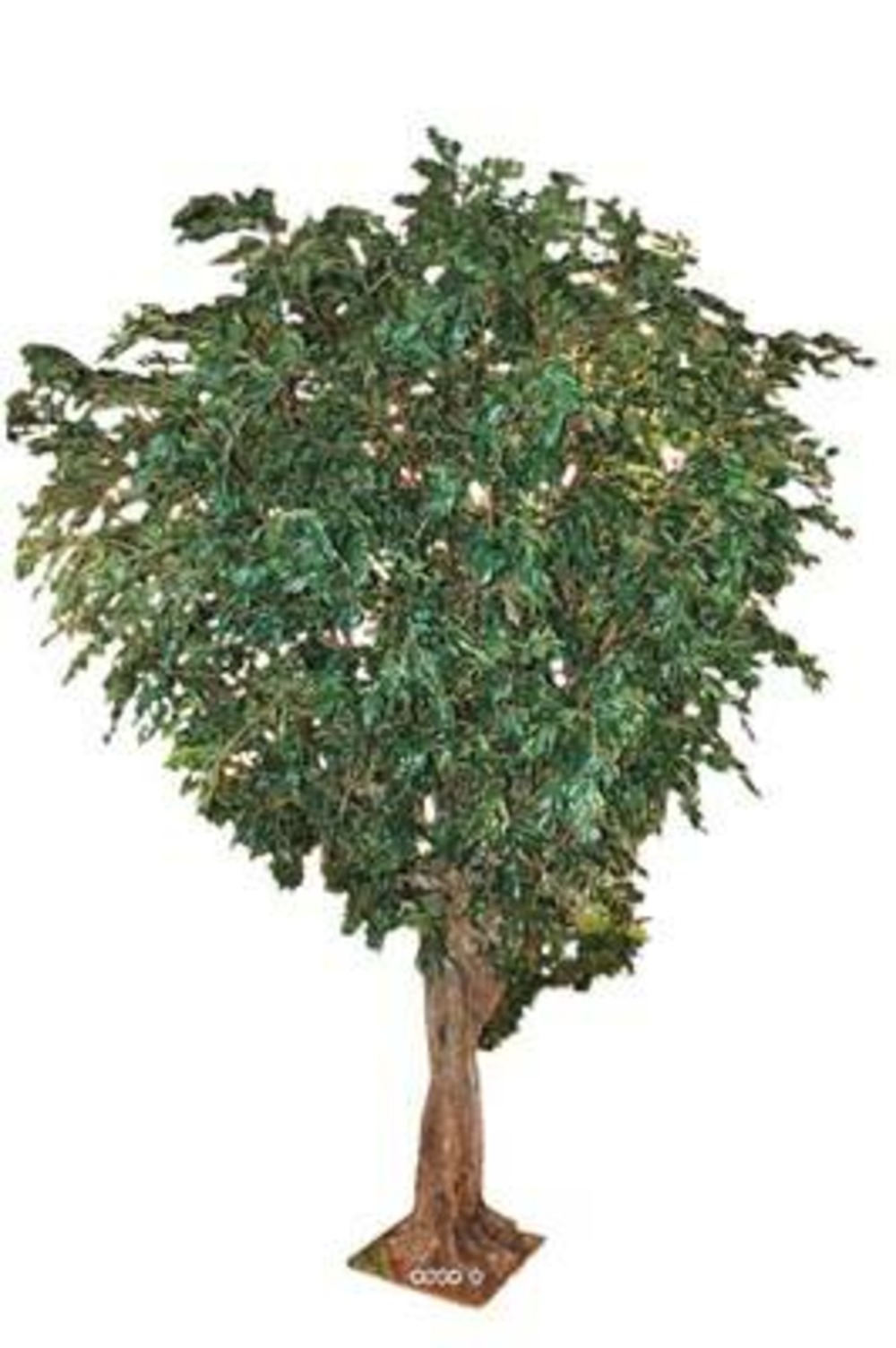 Ficus benjamina géant factice h350cm l220cm 9280 feuilles sur platine - dimhaut: