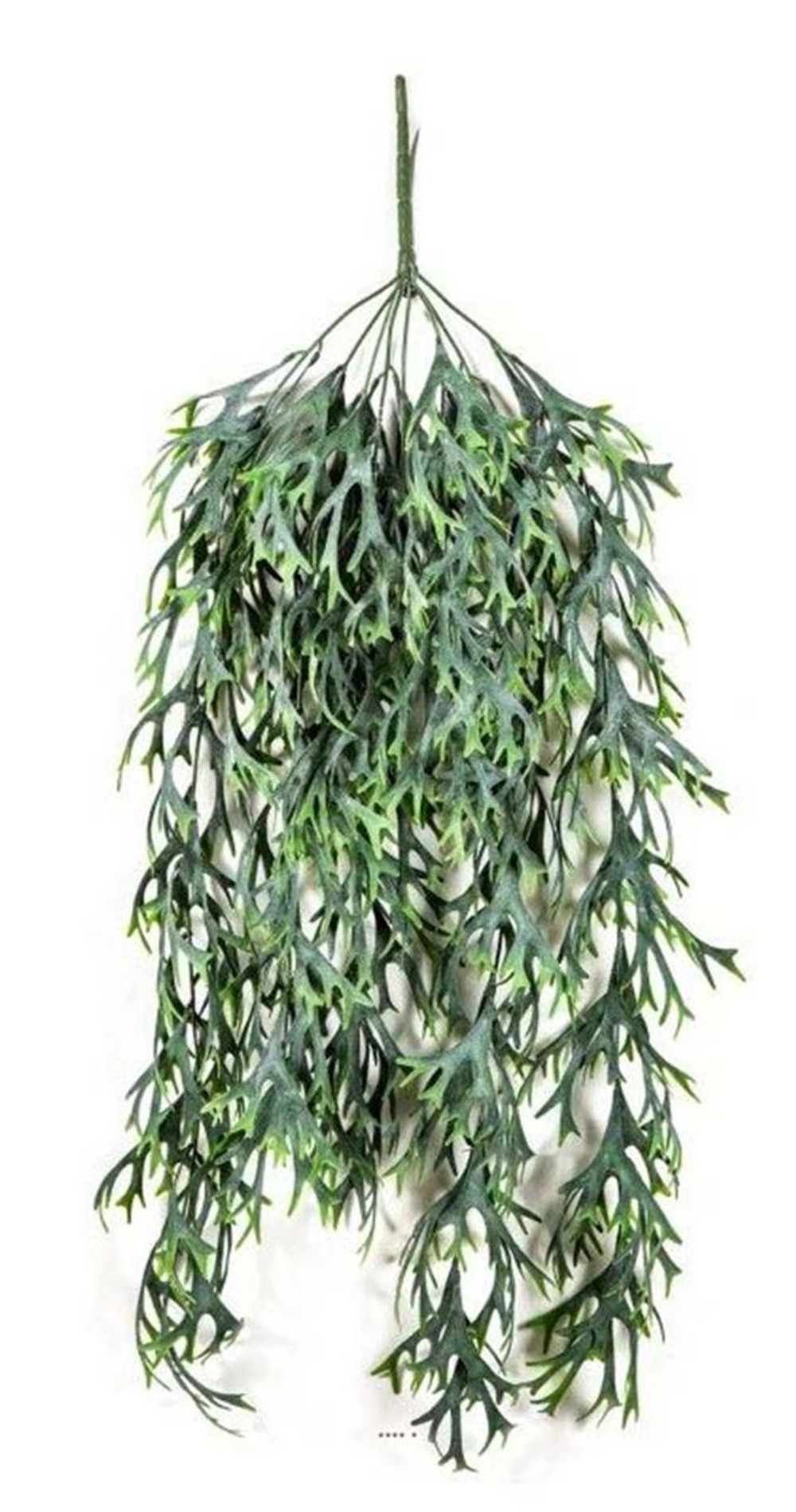 Chute de staghorn artificiel l 80 cm vert