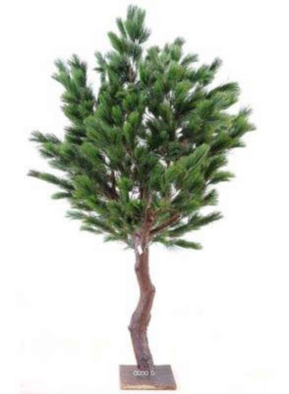 Pin géant faux h210cm tronc fibre verre&bois feuille pe l130cm platine - dimhaut