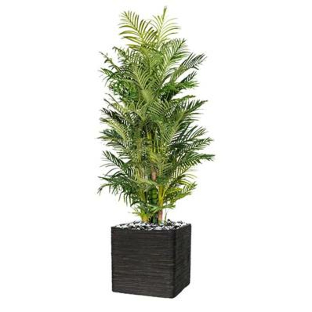 Palmier areca artificiel h 220 cm 13 troncs en pot
